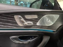 Mercedes-Benz CLS 300 Luxury - фото 16