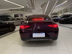 Mercedes-Benz CLS 300 Luxury - фото 17