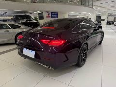 Mercedes-Benz CLS 300 Luxury - фото 18