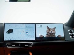 Li Auto L8 Pro - фото 9