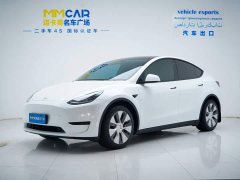 Tesla Model Y Edition - фото 1