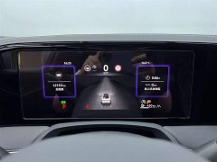 Volkswagen Magotan 2024 380TSI DSG Premium Edition Damai Bag - фото 10