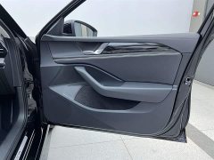 Volkswagen Magotan 2024 380TSI DSG Premium Edition Damai Bag - фото 11