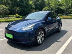 Tesla Model Y Standard Range Edition - фото 1