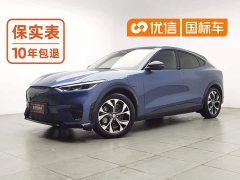 Ford Luxury Edition(Long Range) - фото 1