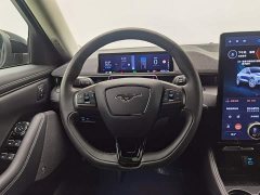 Ford Luxury Edition(Long Range) - фото 11