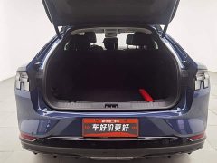 Ford Luxury Edition(Long Range) - фото 16