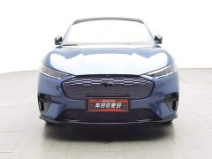 Ford Luxury Edition(Long Range) - фото 3