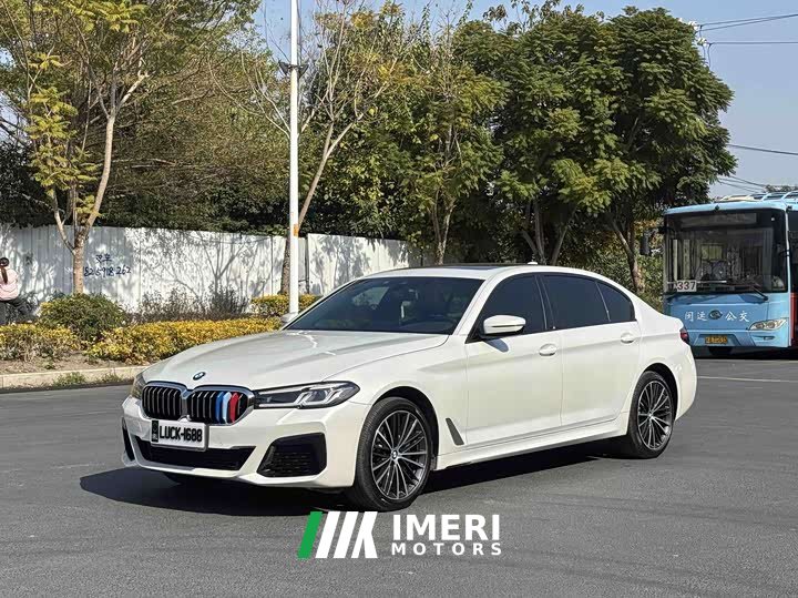BMW 5 530Li Version M - автомобиль из Китая