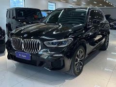 BMW X5 xDrive40i Deluxe Version M - фото 3