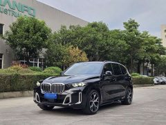 BMW X5 xDrive 30Li Deluxe VersionM - фото 1
