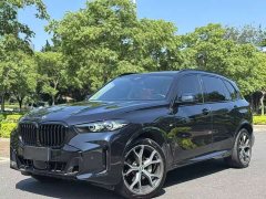 BMW X5 xDrive 30Li Deluxe VersionM - фото 1