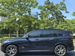 BMW X5 xDrive 30Li Deluxe VersionM - фото 3