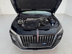 Hongqi H5 2.0T Edition - фото 16