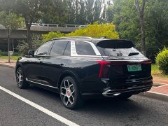 Hongqi E-HS9 460km Edition - фото 15
