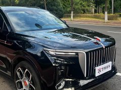 Hongqi E-HS9 460km Edition - фото 4