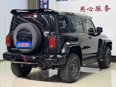 Tank 300 2.0T - фото 4