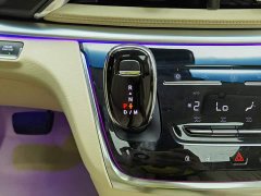 Buick GL8 Luxury Version - фото 13
