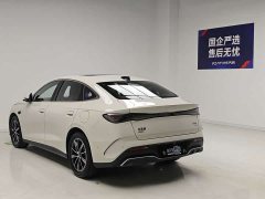 BYD 06 DM-i Smart Drive Edition 120KMDeluxe Version - фото 6