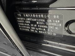 Tank 300 2.0T Edition - фото 11