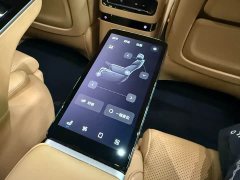 Voyah PHEV AWDPremium Edition - фото 14