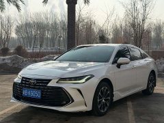 2.0L Luxury Edition - фото 1