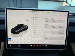 Tesla Model 3 Edition - фото 10