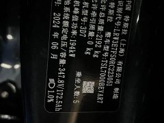 Tesla Model 3 Edition - фото 13