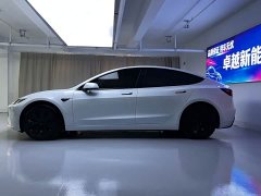 Tesla Model 3 Edition - фото 10