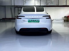 Tesla Model 3 Edition - фото 11