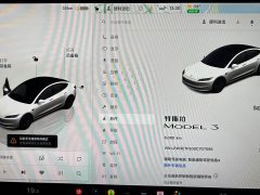 Tesla Model 3 Edition - фото 7