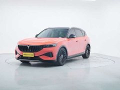 Voyah Lantu FREE 2021 four-wheel drive standard extended range exclusive luxury package - фото 1