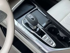 Voyah Lantu FREE 2021 four-wheel drive standard extended range exclusive luxury package - фото 13