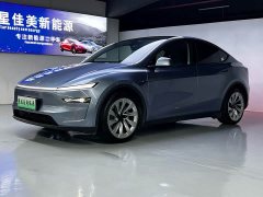 Tesla Model Y Edition - фото 1