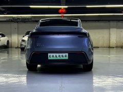 Tesla Model Y Edition - фото 11