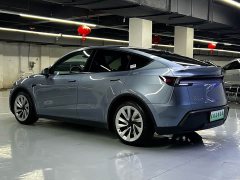 Tesla Model Y Edition - фото 12