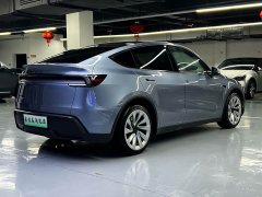 Tesla Model Y Edition - фото 13