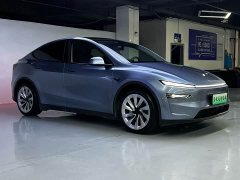 Tesla Model Y Edition - фото 3
