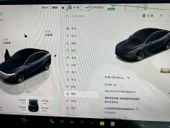 Tesla Model Y Edition - фото 7