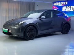 Tesla Model Y Standard Range Edition - фото 1