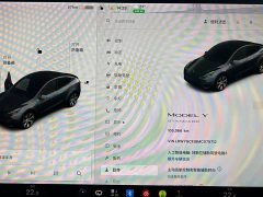 Tesla Model Y Standard Range Edition - фото 12