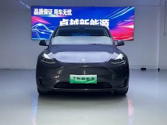Tesla Model Y Standard Range Edition - фото 2