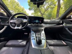 Mercedes-Benz AMG GT AMG GT 50 - фото 13