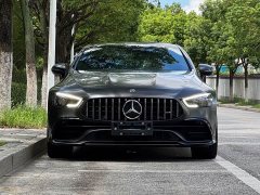 Mercedes-Benz AMG GT AMG GT 50 - фото 2
