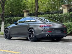 Mercedes-Benz AMG GT AMG GT 50 - фото 4