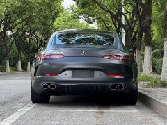 Mercedes-Benz AMG GT AMG GT 50 - фото 5