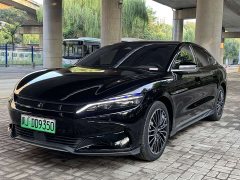 BYD EV Edition 506KMPremium Version - фото 1