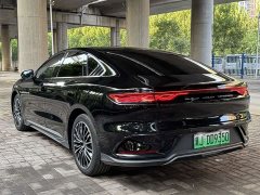 BYD EV Edition 506KMPremium Version - фото 13