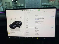 Tesla Model 3 Edition - фото 10