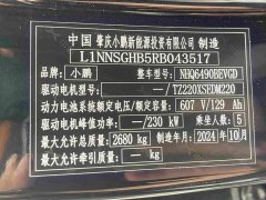 Xpeng G9 570 Max - фото 11